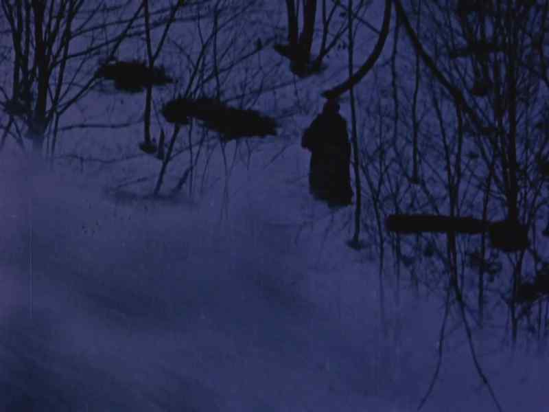The storm lulls