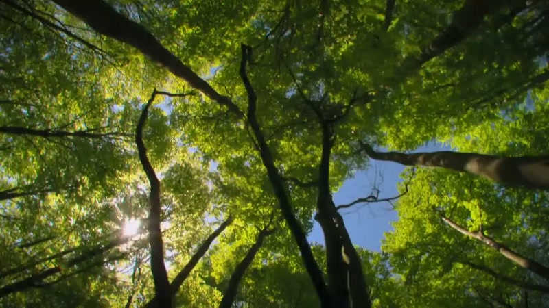 'The strengthening sun