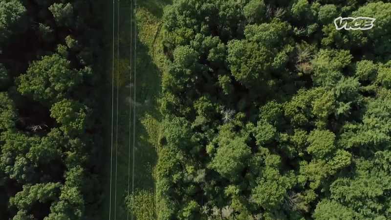 The stretch of land between here and the highway