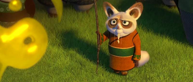 The student has truly become the teaWait Where did you get thatOh this Oogway gave it to me in the Spirit RealmOh Of course he didI think I mastered chiOf course you didCan you teach me