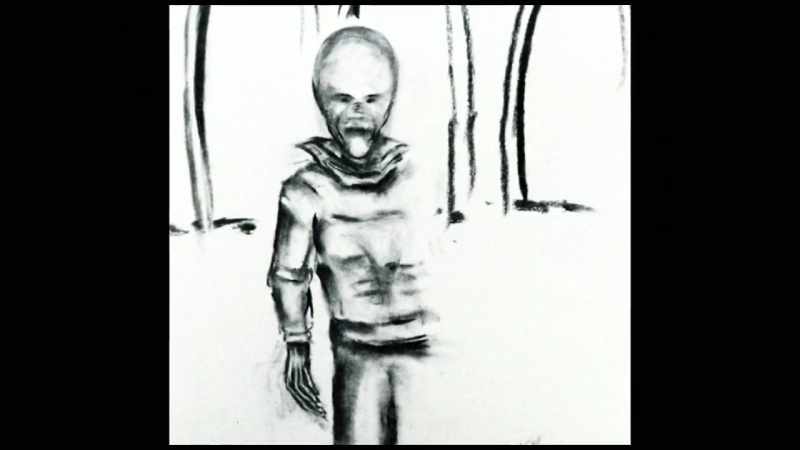 The SUM 1-01 manual continues, quote, the eyes are small