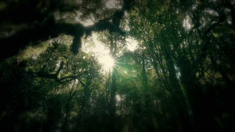 The sun's getting higher, and we're tired
