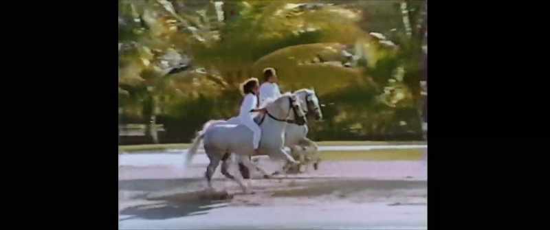 �� The sunshine and sea breeze ♪
