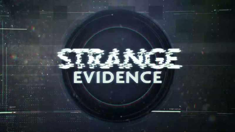 THE SURVEILLANCE FOOTAGE MAY BE A SIGN