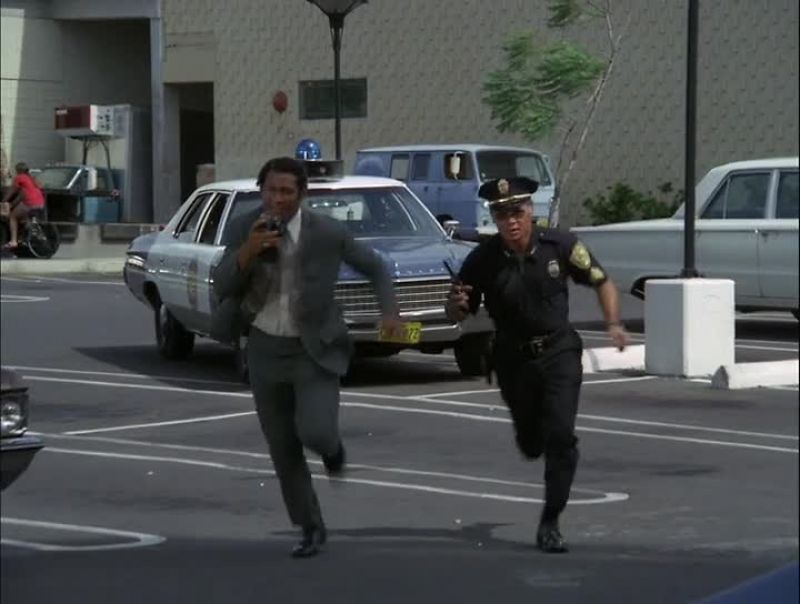 THE SUSPECT'S SPOTTED