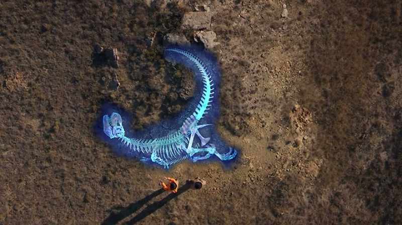 THE TAIL WOULD COME BACK AROUND HERE