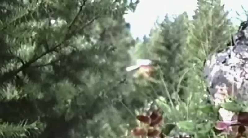 The tapes showed that randy weaver was there