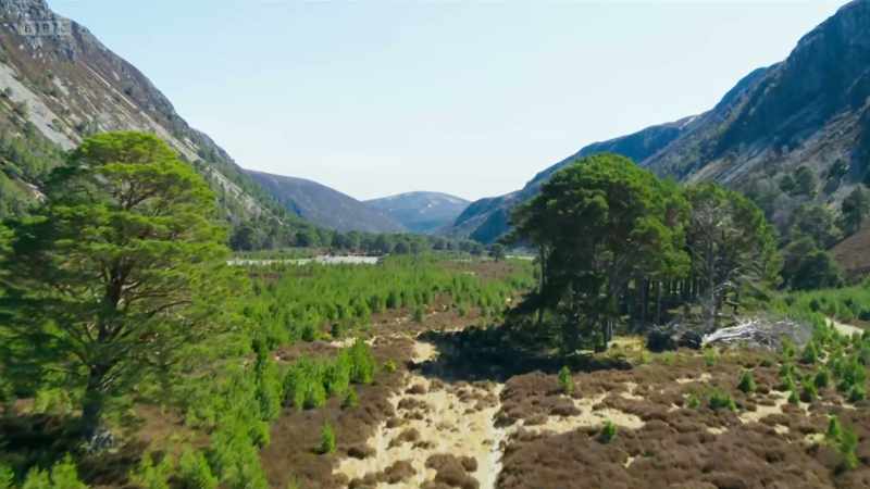 The team here have also planted over five million trees