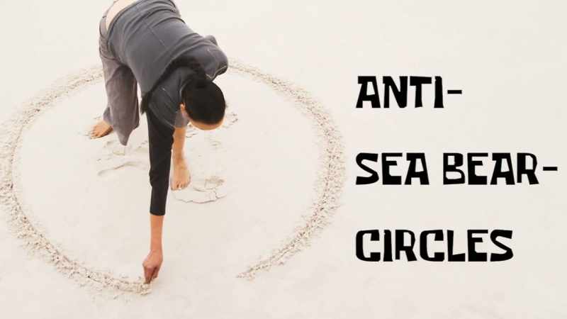 The technical term is anti-sea-bear circles