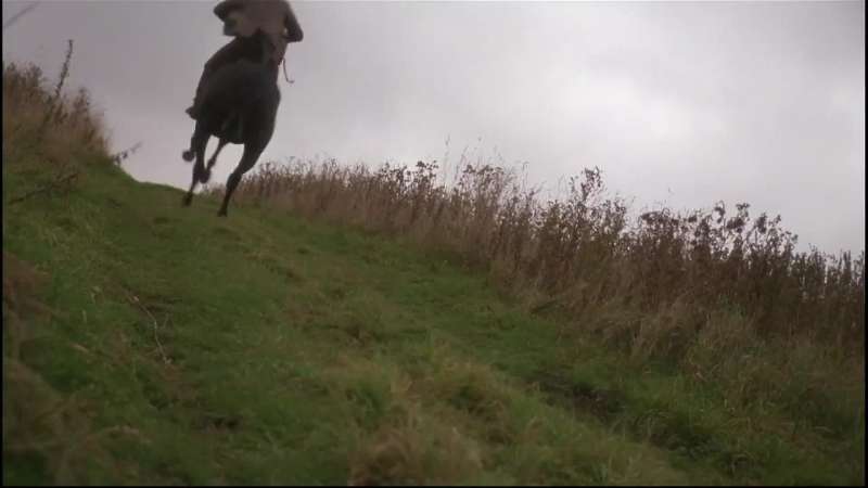 The terrible man who bought me kept horses for rent