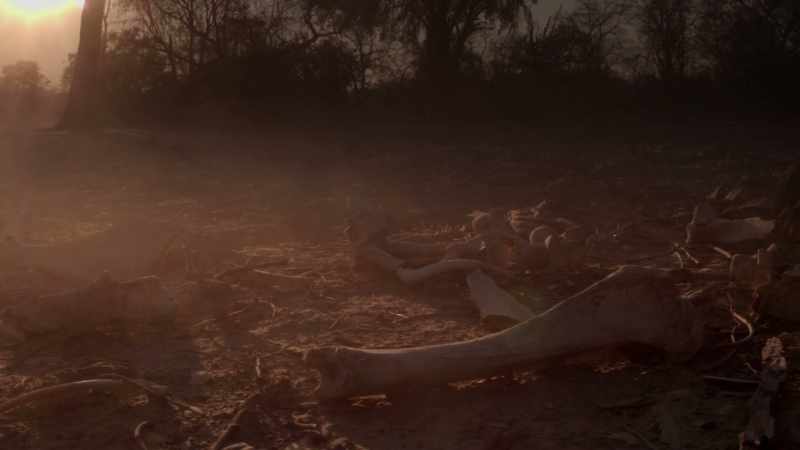 The territory they stole, abandoned