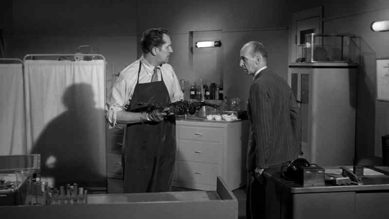 The Tingler!