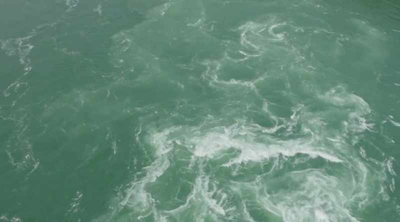 The topography, the river have created this microclimate
