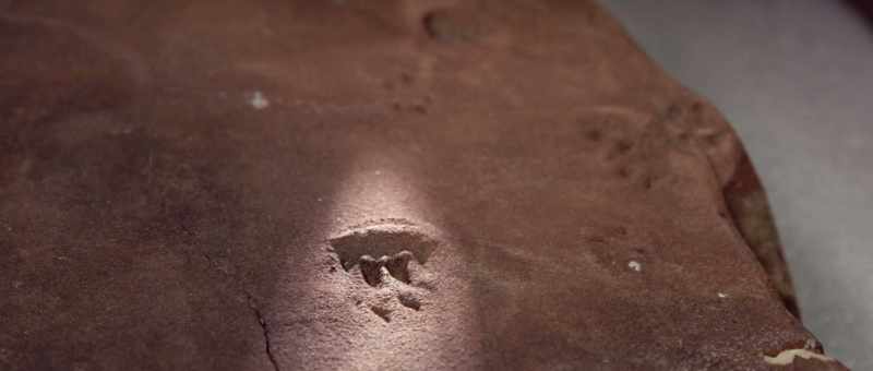 where the tracks are first and bodies are later