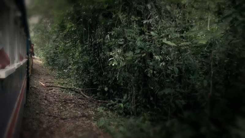 The train stops