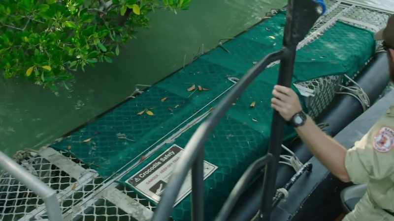 The trap could contain a six-metre-long croc