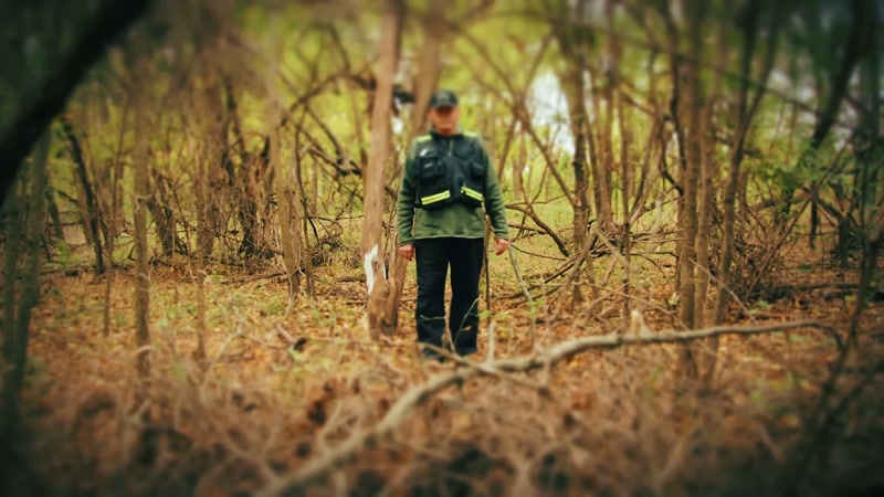 The tree limbs and brush were all gathered