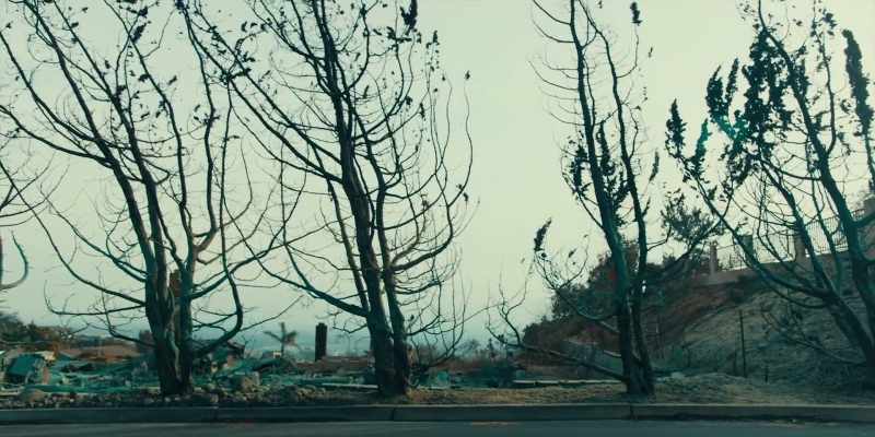 The trees were so dry they were ready to burn