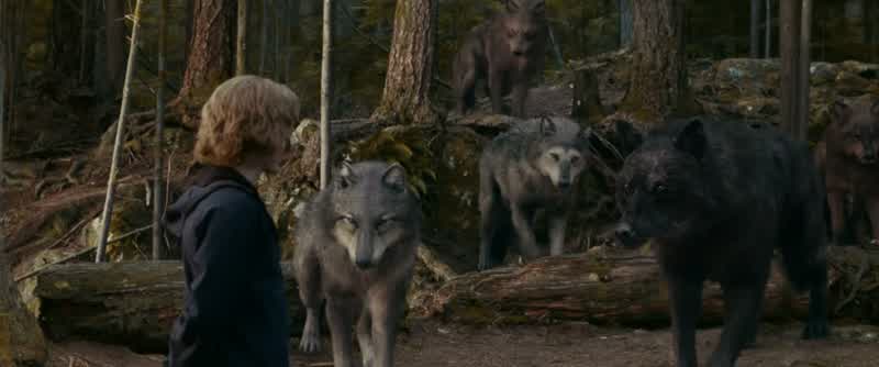 Now the two most important things to remember are firstnever let them get their arms around you They'll crush you instantlyAnd secondnever go for the obvious killThey'll be expecting thatand you will