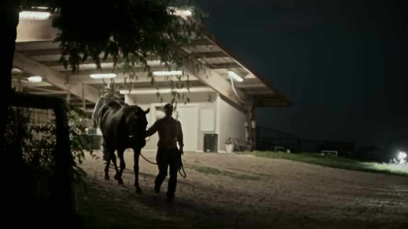 The ultimate destination for where the horses were going