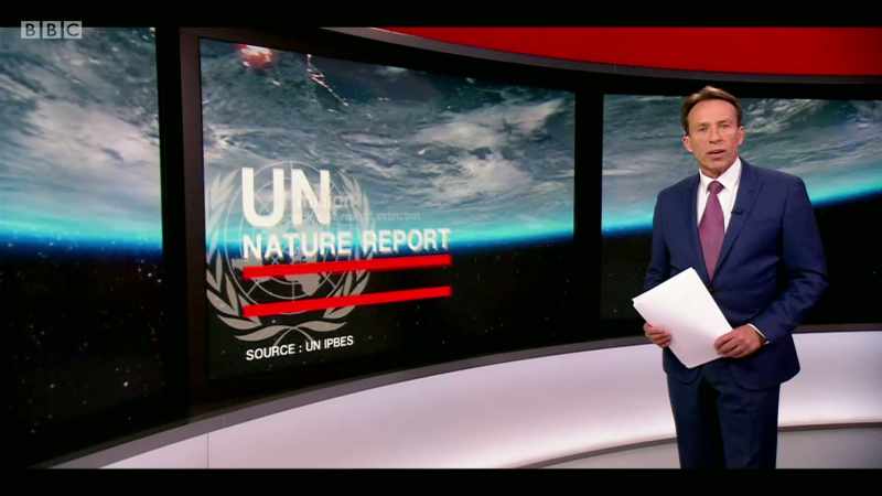 The UN panel of experts has found