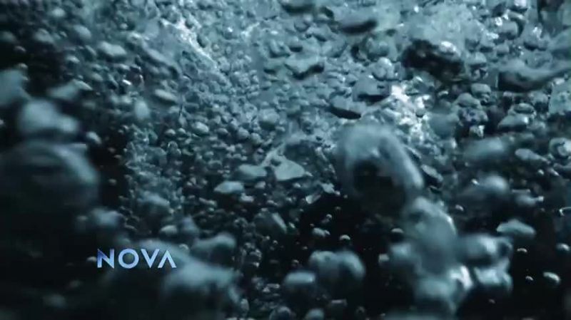 The universe itself is awash with water