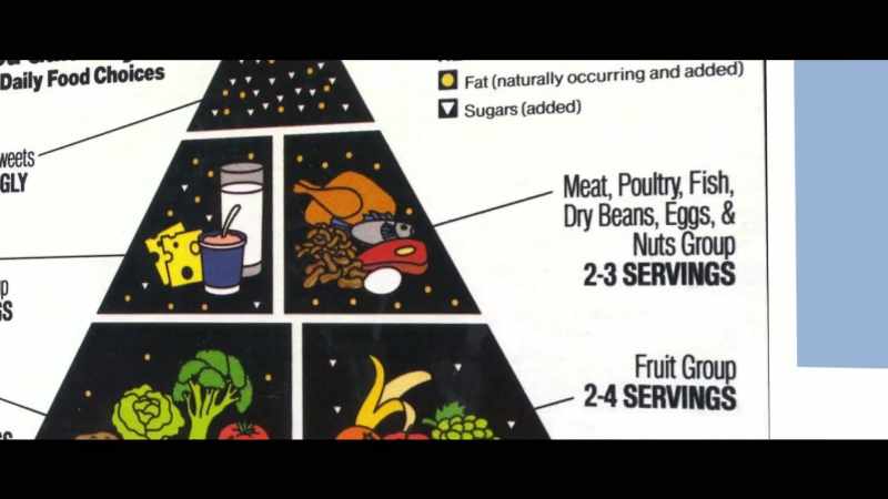 The USDA which is supposed to be protecting us