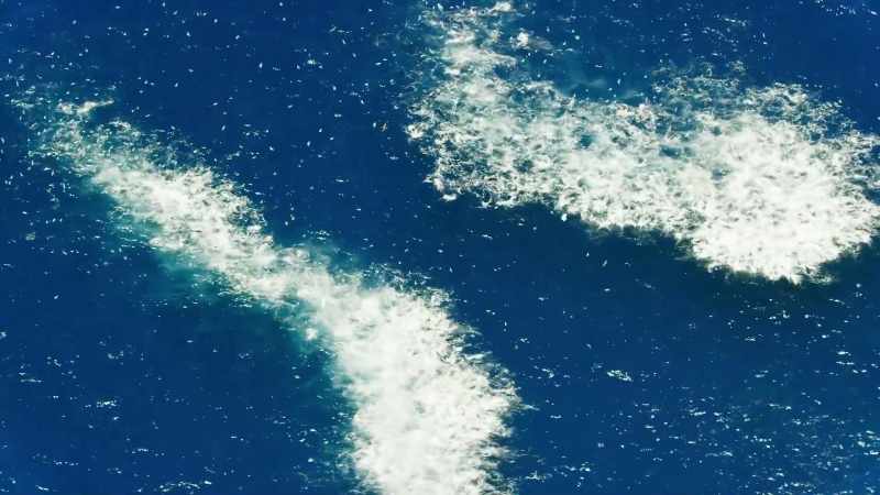 The vastness of the ocean wilderness