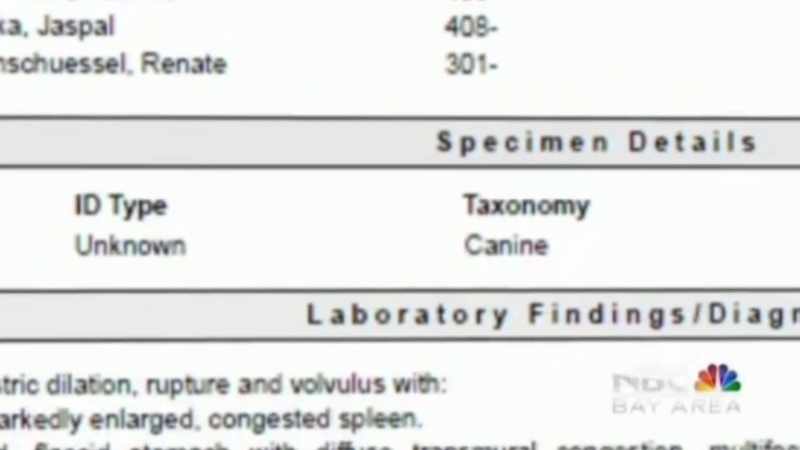 The vet found that she died