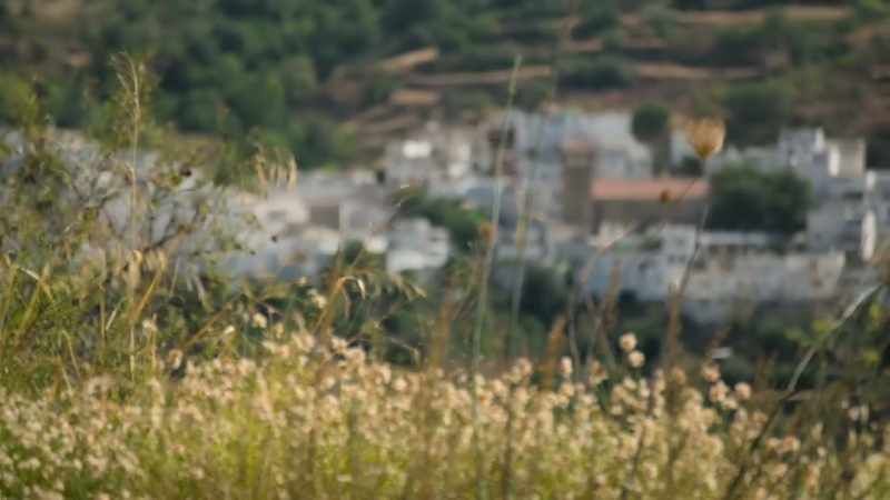 The village of Mairena