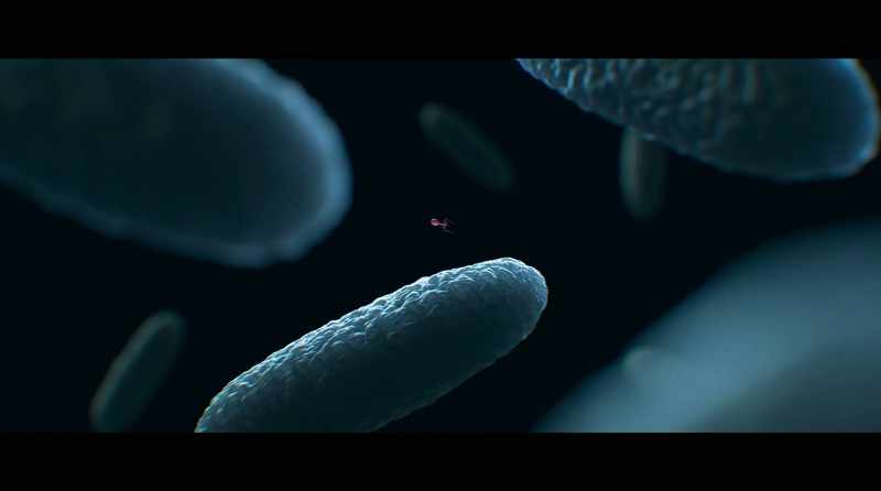 The virus will attach to the surface