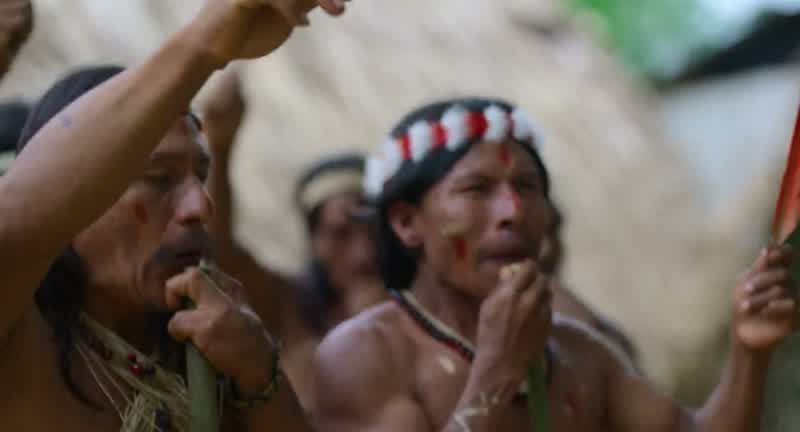 The Waorani call the jungle home