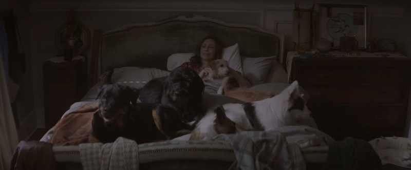��♪ The warmth of your love's