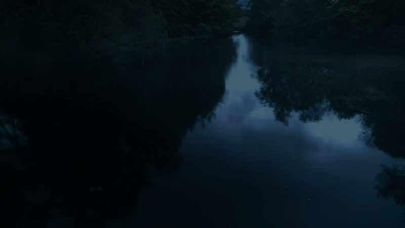 'The water was as cold and as black as death itself