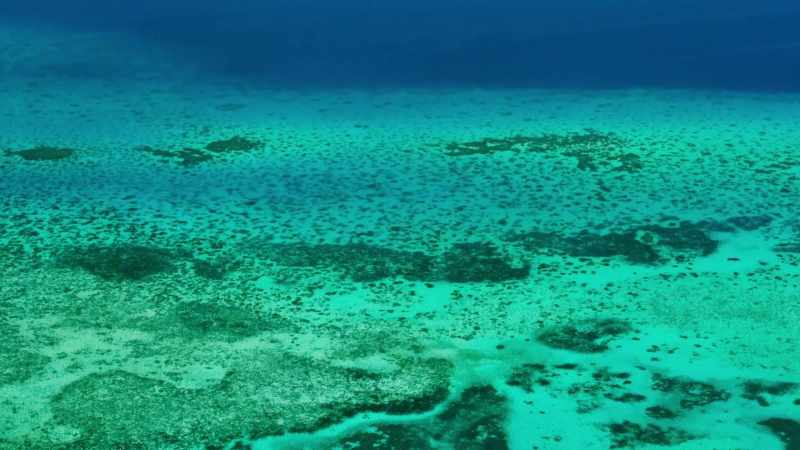 The waters offshore
