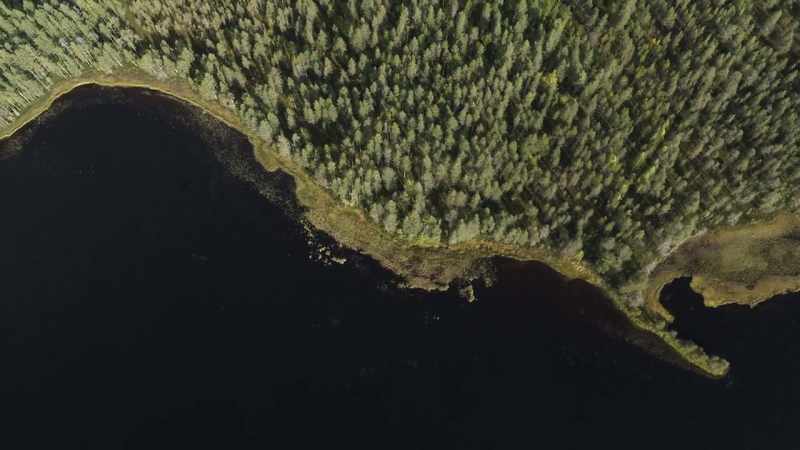 The waterways of Finland support another bird