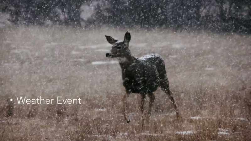 The weather issue could be anywhere from a dust storm