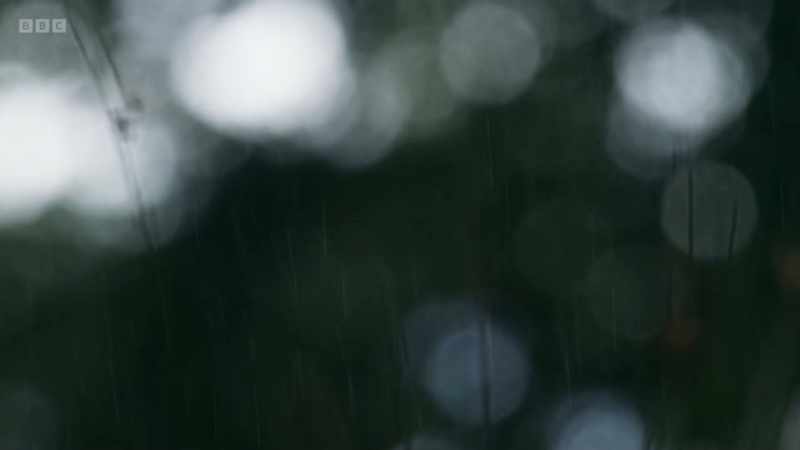 the weather makes things a bit miserable at times