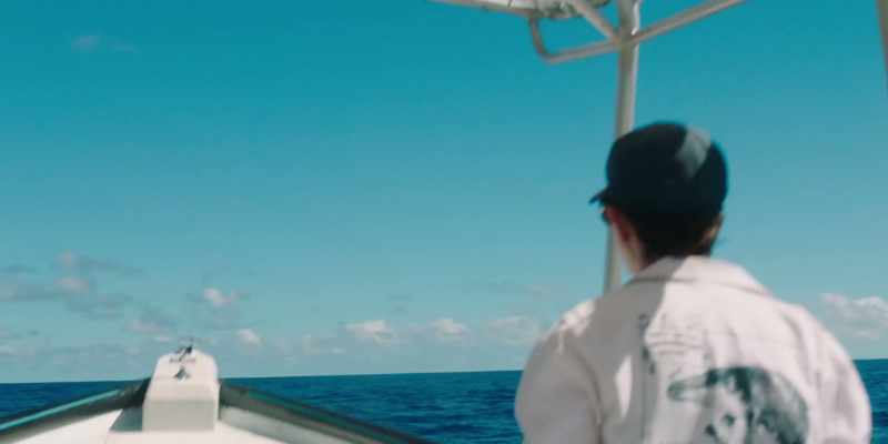 The whales sing outside the reef
