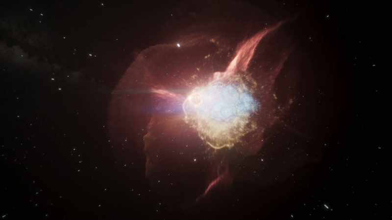 The white dwarf detonated