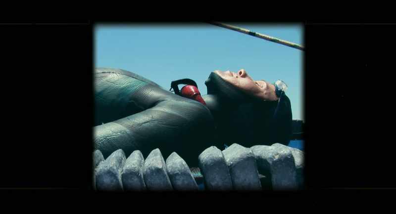 The whole freediving sport