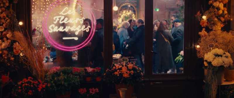 THE WILD FLOWERS