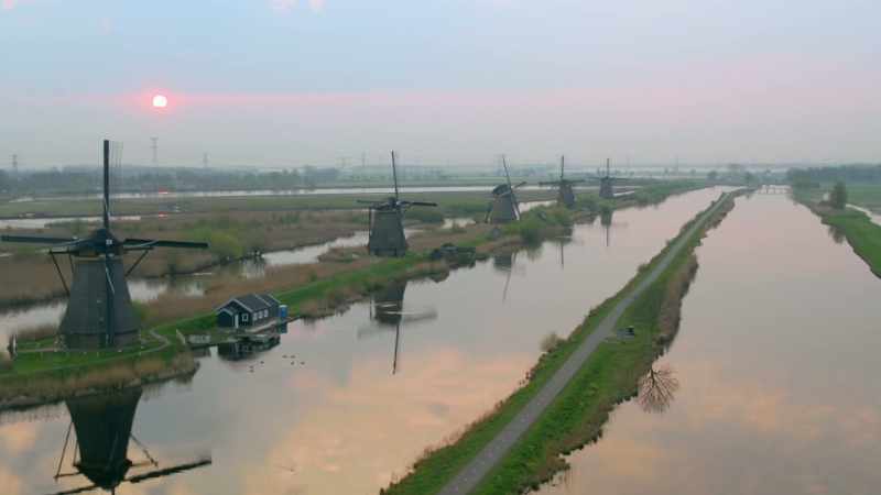 The windmills are arranged in long rows