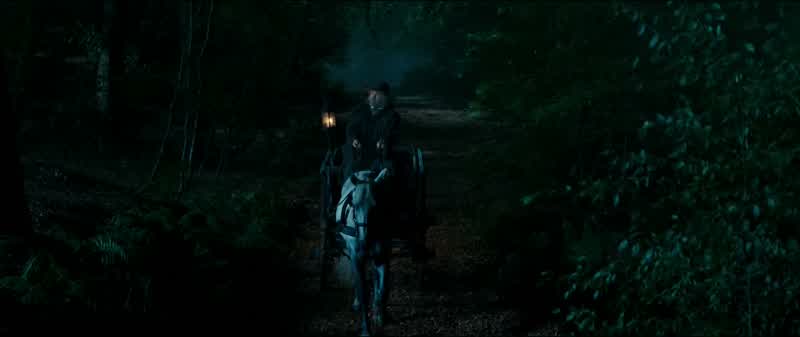 The woods are lovely