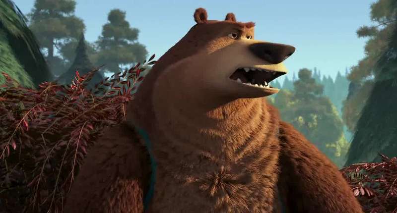 The woods is no place for a bear