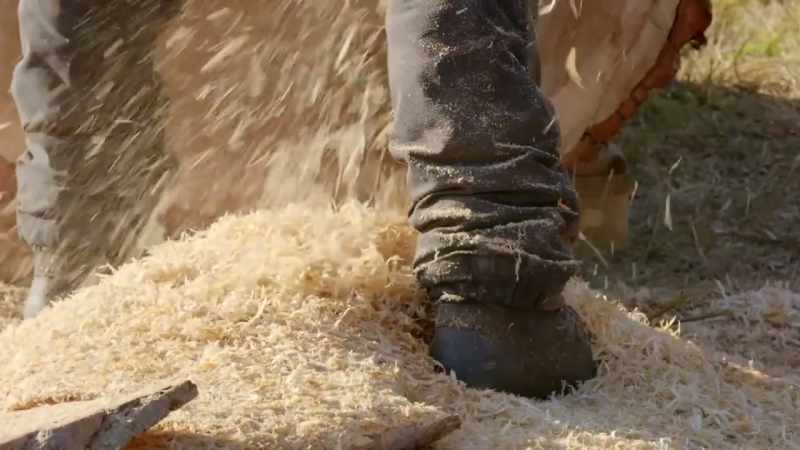 the woodworkers went wild, making animal sculptures