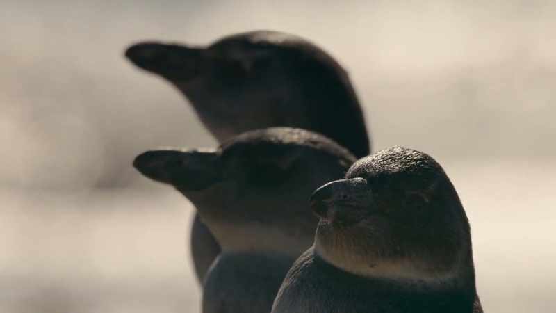 The youngsters will soon be off to sea