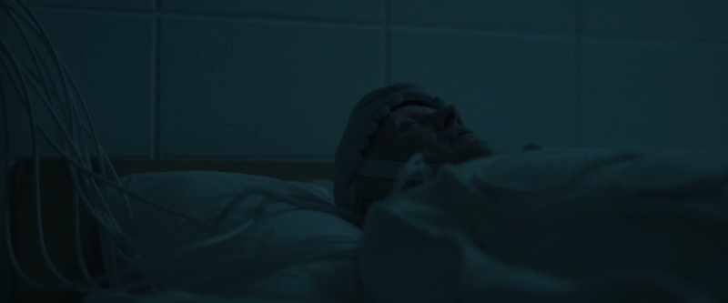 Their bodies are preparing them for deep sleep