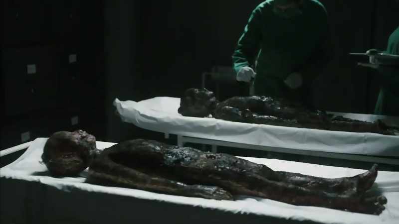 Their bodies were burnt. But we could identify them