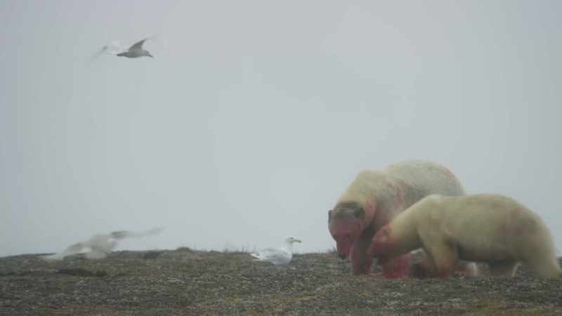 Their mother rushes to shield them with her body